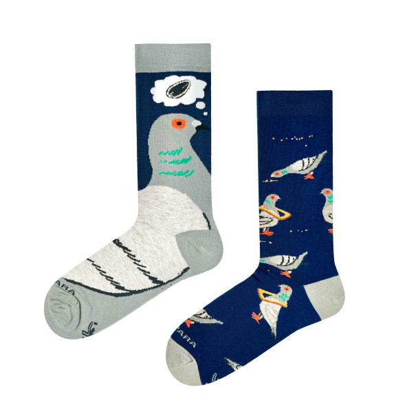 Gołębie - Skarpetki nie do pary